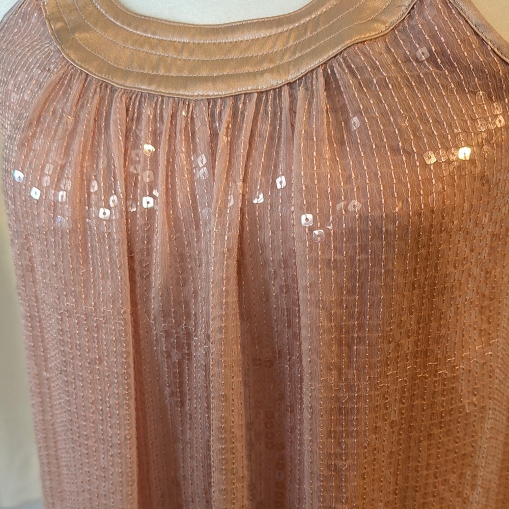 Betseu Johnson Sequin Sleeveless Dress - Picture 4 of 8